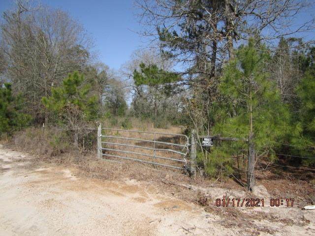 000 Wilde Ridge Trail - Photo 1