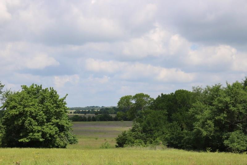 TBD - Lot 6 Riva Ran Fm 2562 - Photo 1