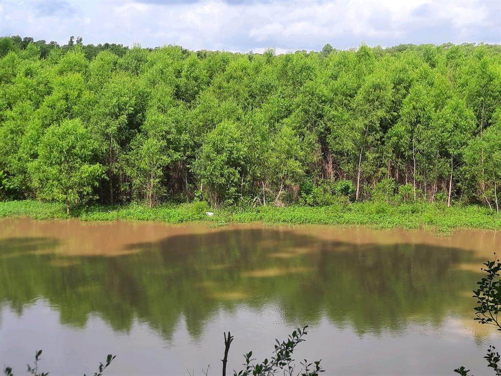 Lot 285 Arrow Head Lane - Photo 1