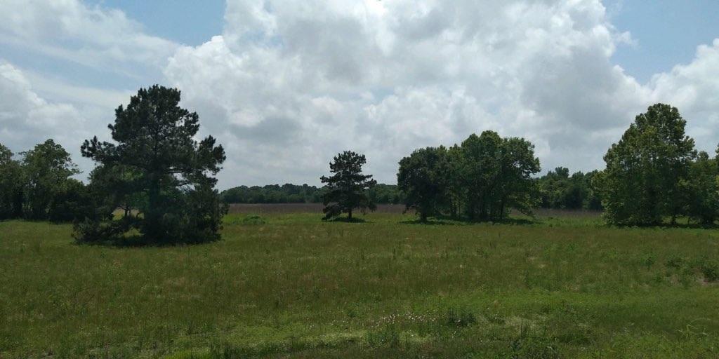 483 County Road 6111 - Photo 1