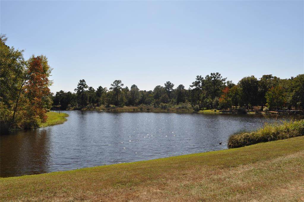 26133 Moose Drive - Photo 1