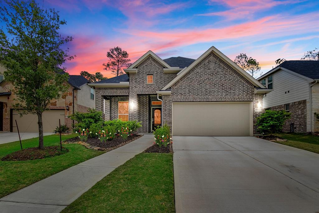 16862 Big Reed Drive - Photo 1