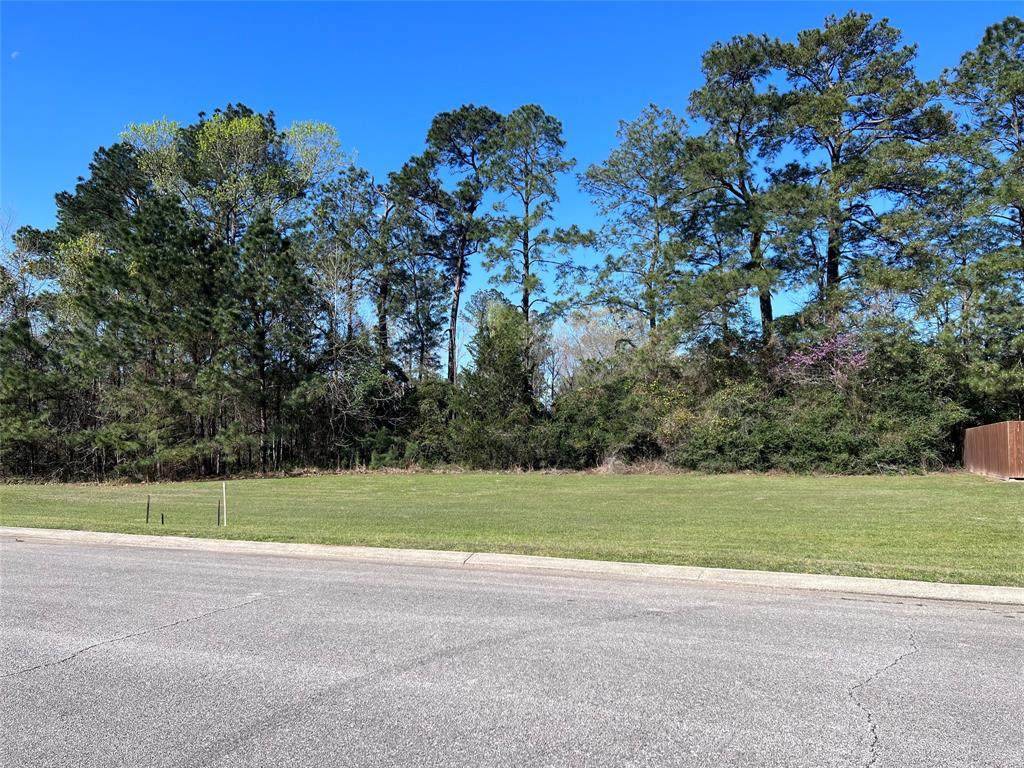 TBD Sunshine Lot 14 Lane - Photo 1