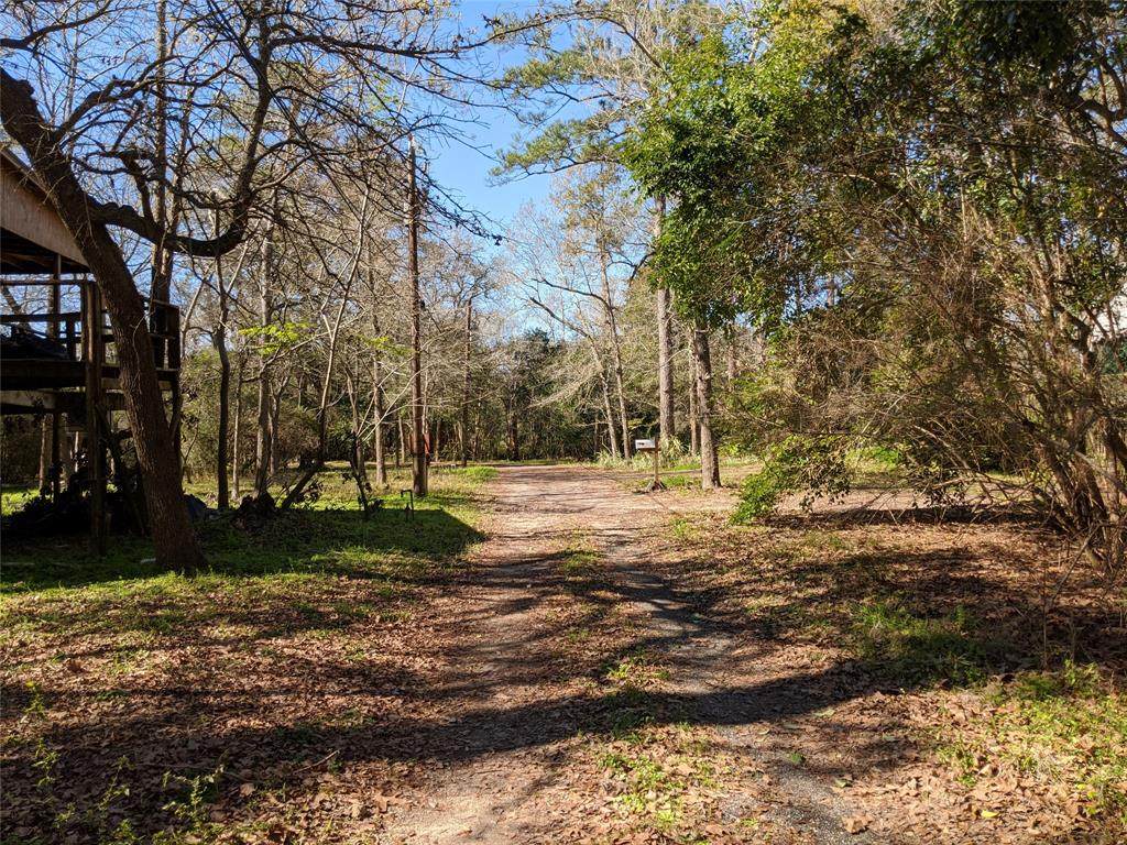 1319 Deepwood Drive - Photo 1