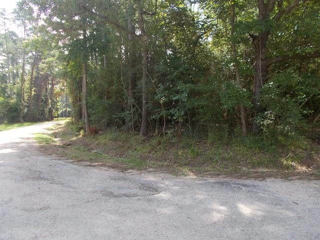 TBD Cedar Bend Road - Photo 1