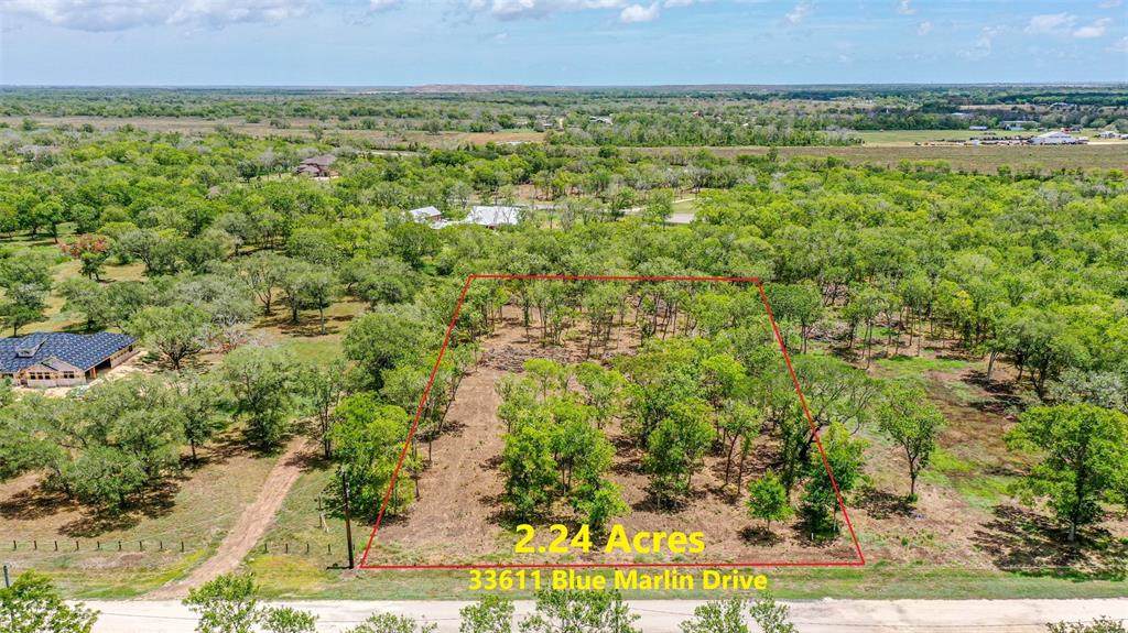 33611 Blue Marlin Drive - Photo 1