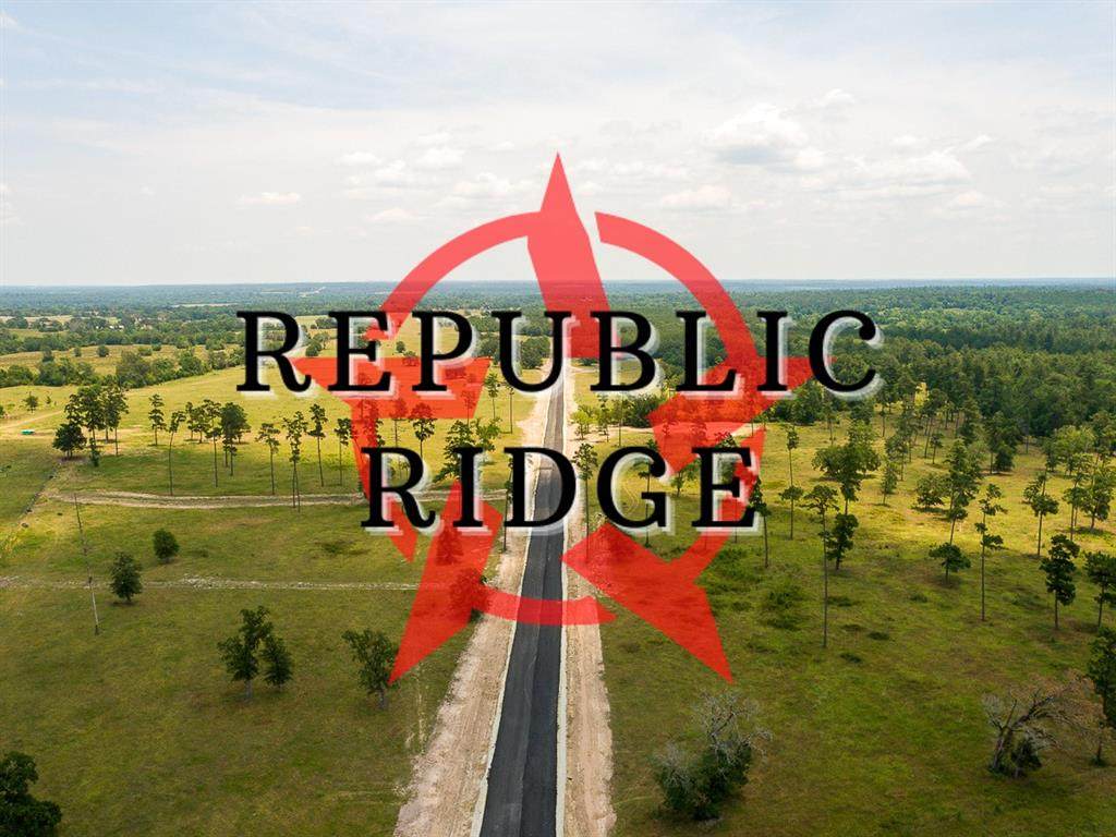 000000000 Republic Ridge Road - Photo 1