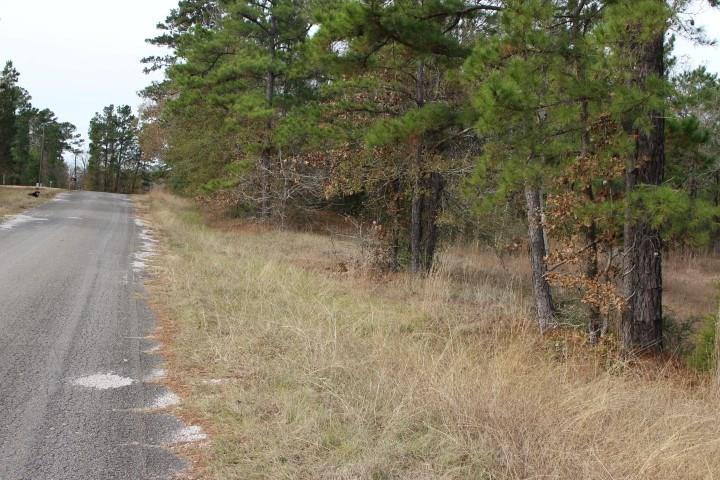 Lot 23 Oak Hill Drive - Photo 1