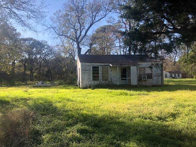 515 Live Oak Drive - Photo 1