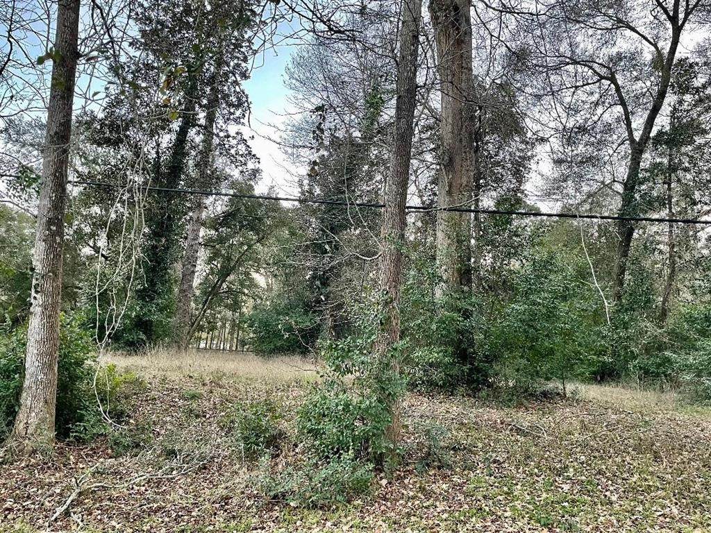 1011 Nellius - Photo 1