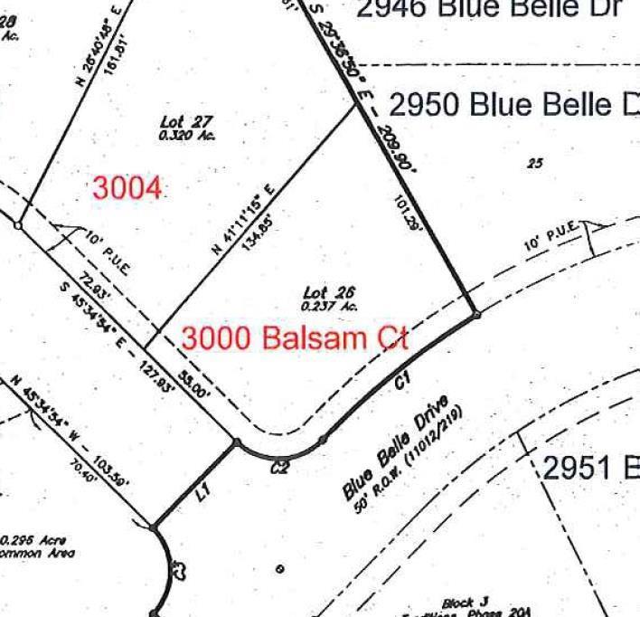 3000 Balsam Court - Photo 1