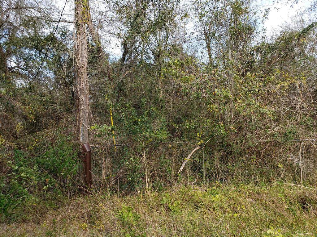 Lot 18 & 19 Treasure Drive - Photo 1