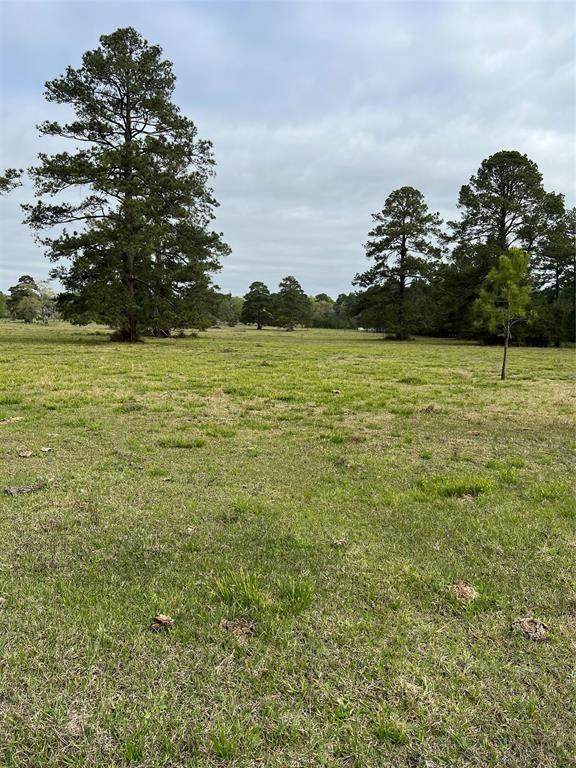 Tract 3 Mount Zion Rd - Photo 1