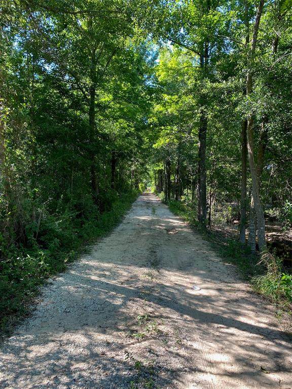 tbd Of County Road 3011 - Photo 1