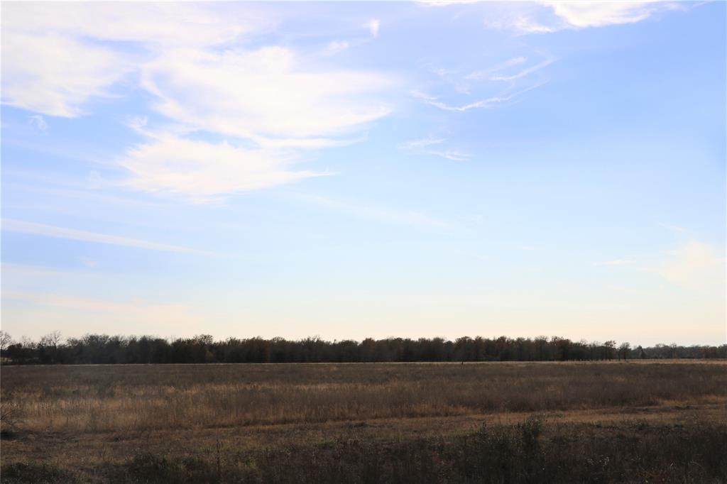 40541 Harpers Church Road - Photo 1