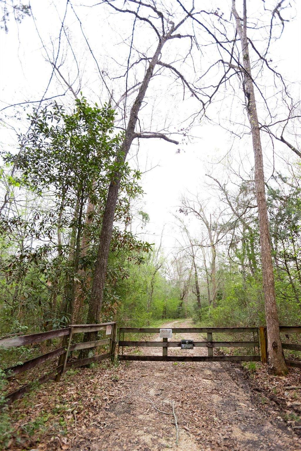 101 Fork Drive - Photo 1