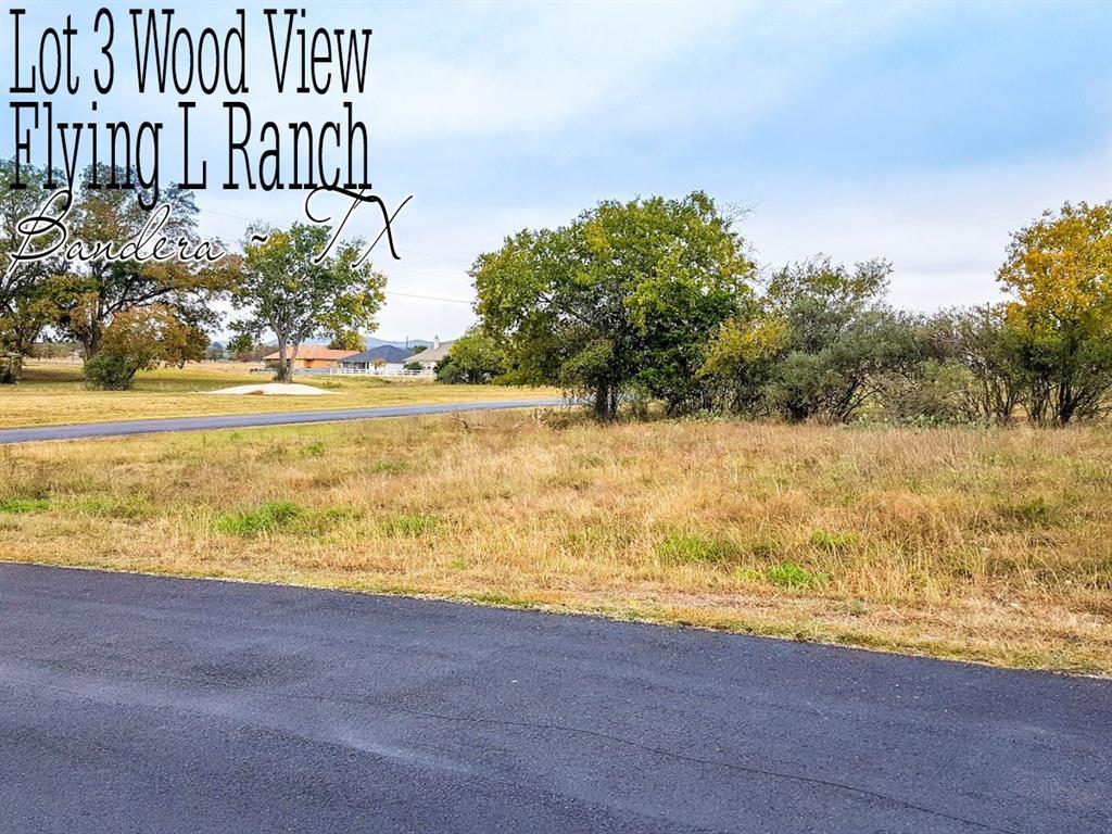 Lot 3 Wood View Circle - Photo 1