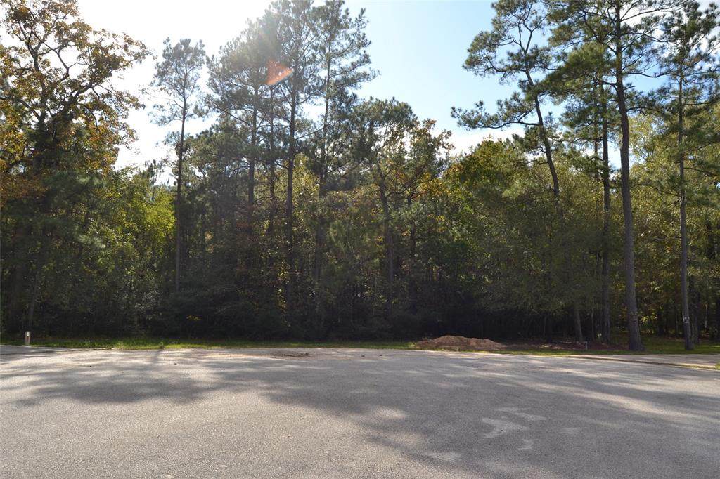 125 Pr-6352 Street - Photo 1