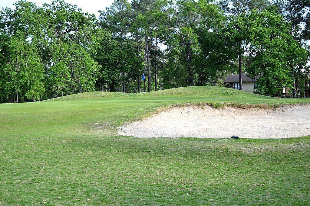 15919 Golf Club Drive - Photo 1