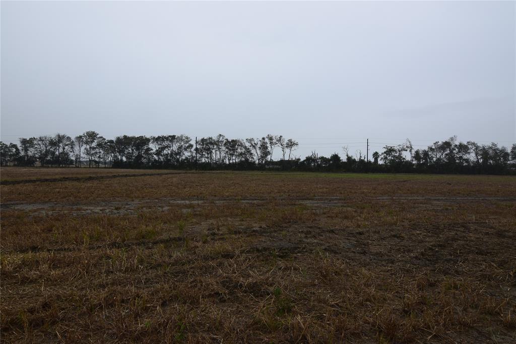 14903 Icet Creek Avenue - Photo 1
