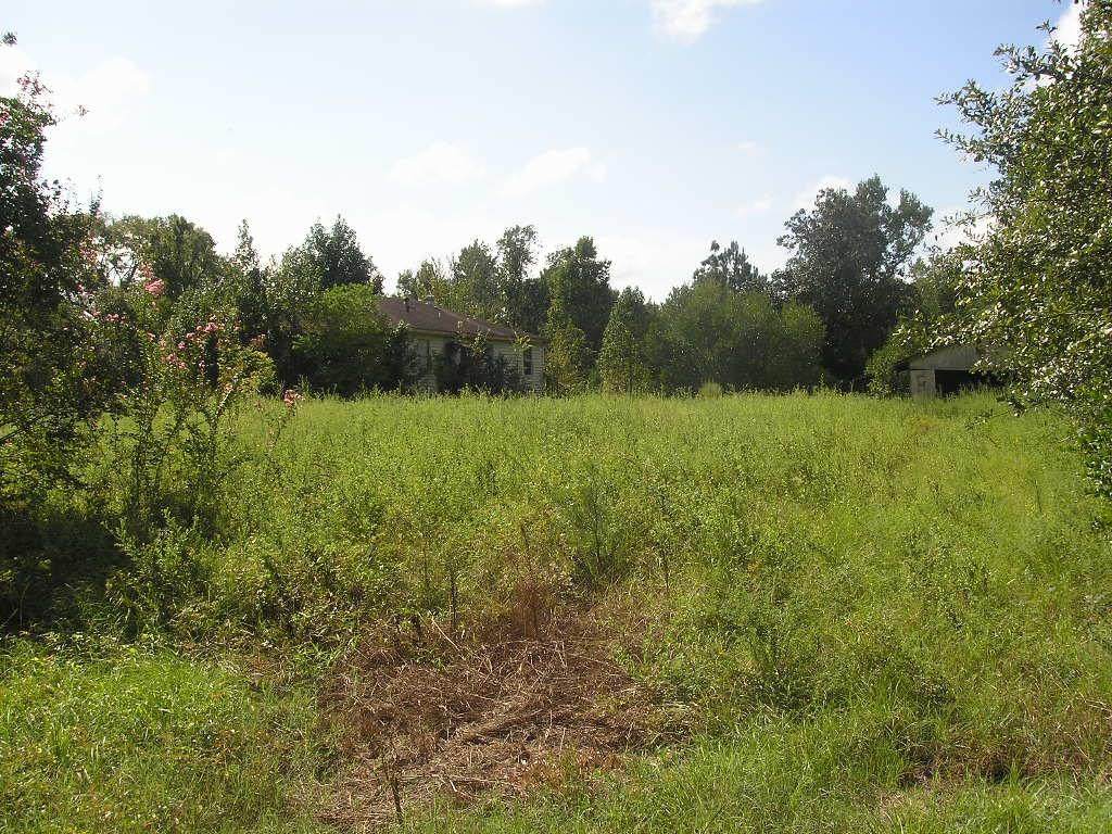 13526 Walker Road - Photo 1