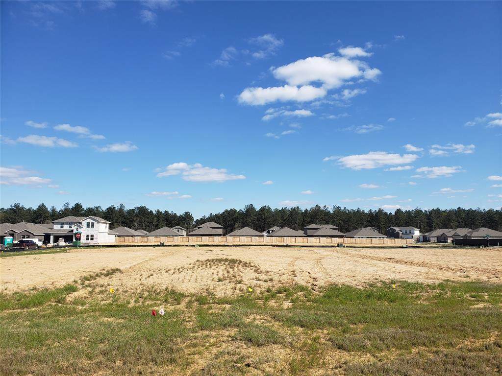21250 Ivy Woods Court - Photo 1