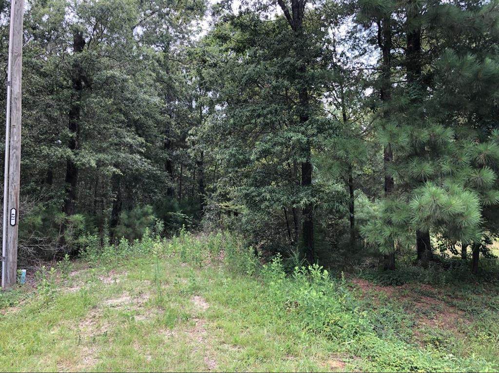 TBD2 Moonlite Drive - Photo 1