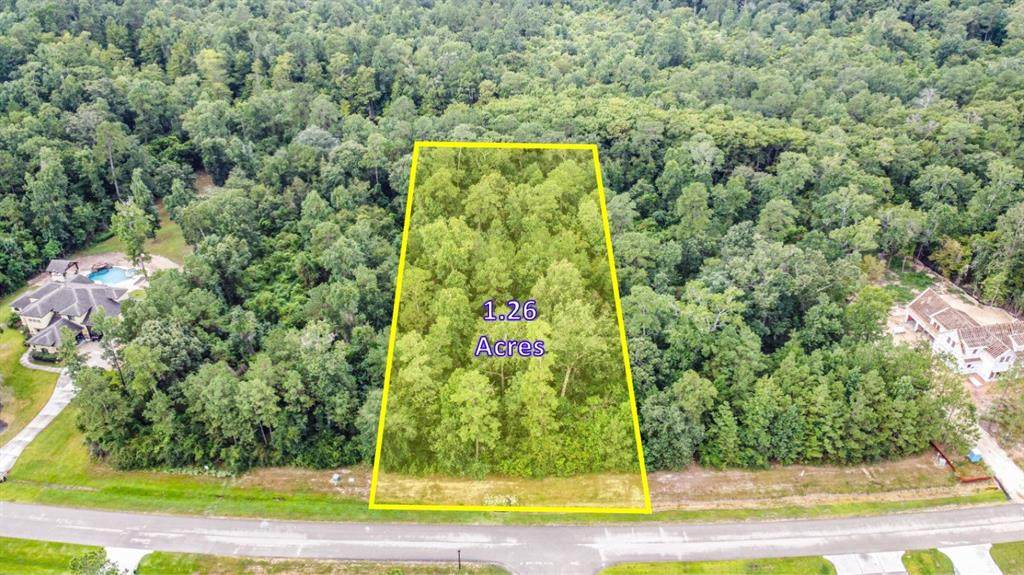 27410 Shady Hills Landing Lane - Photo 1