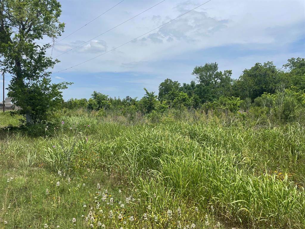 2942 Fm 640 Road - Photo 1