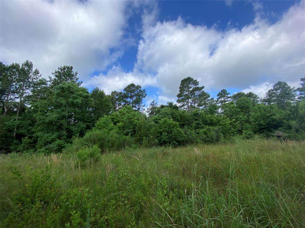 42.8 Acres Reids Prairie Road - Photo 1