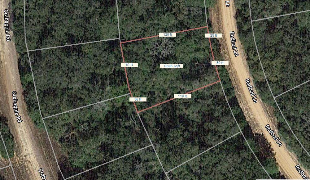 Lot 10 Redbud Lane - Photo 1