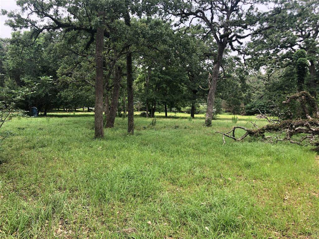 1271 Scroggins Lane - Photo 1