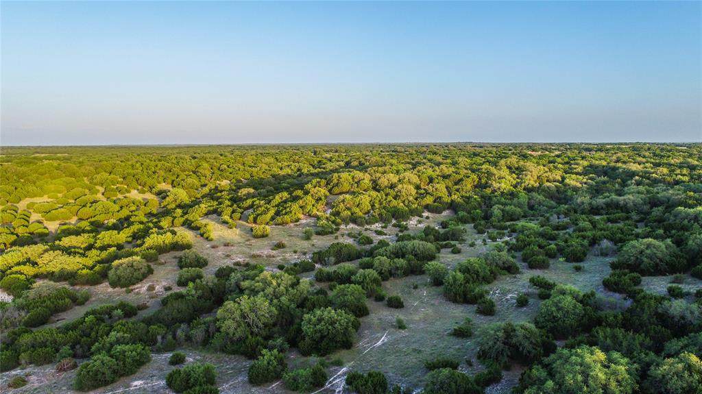 TBD County Road 1120 - 300 Acres - Photo 1