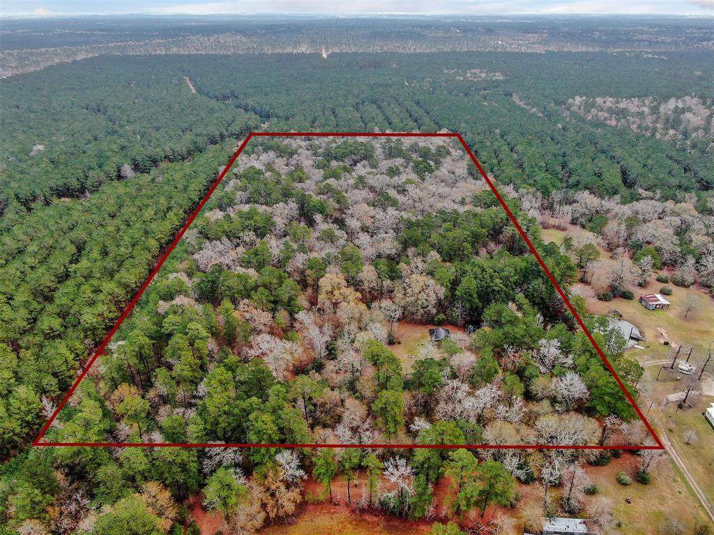 12509 Crockett Martin Road - Photo 1