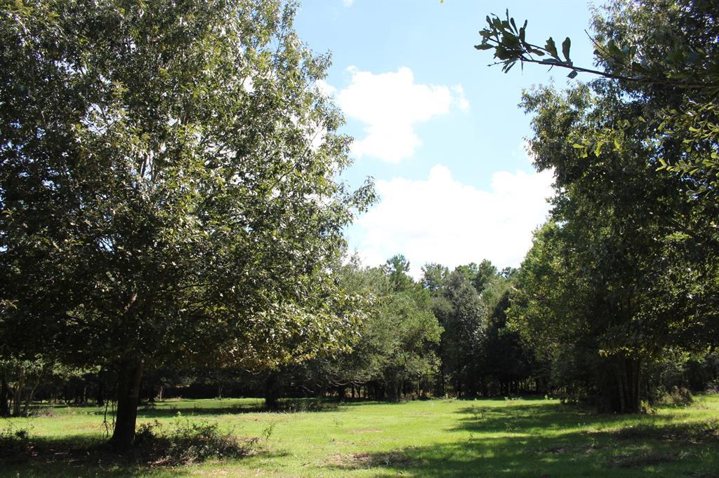 21369 Arnsworth Rd - Photo 1