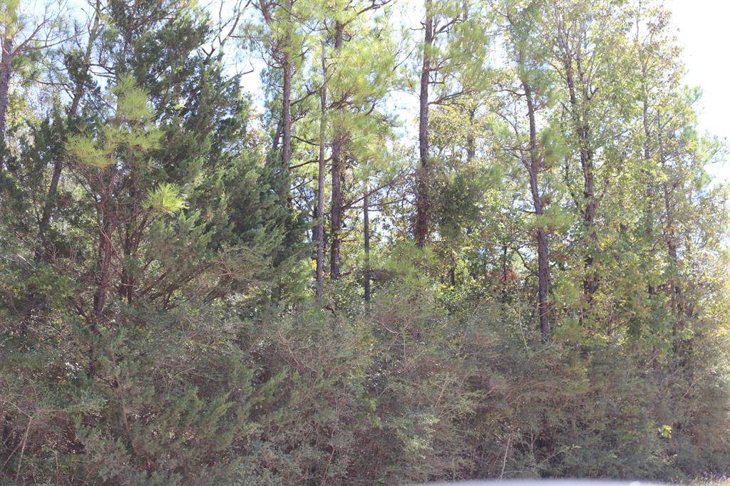8 Magnolia Cemetary - Photo 1
