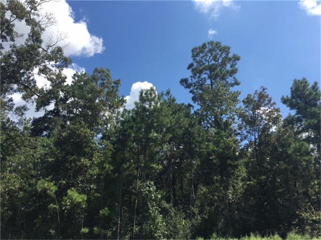 27427 Shady Hills Landing - Photo 1