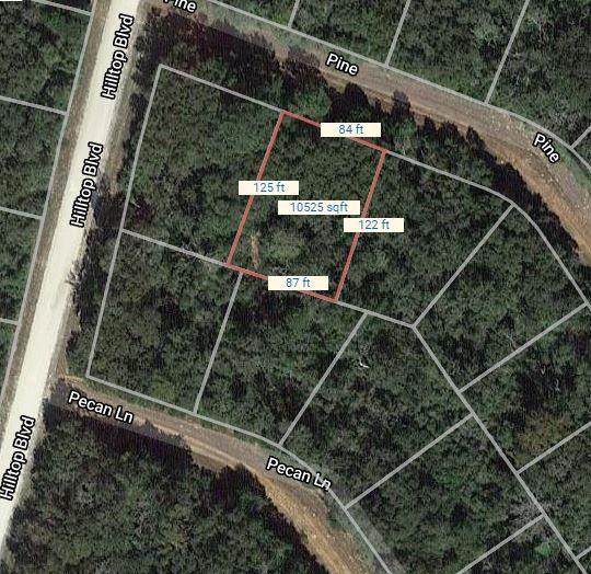 Lot 12 Pine Lane - Photo 1