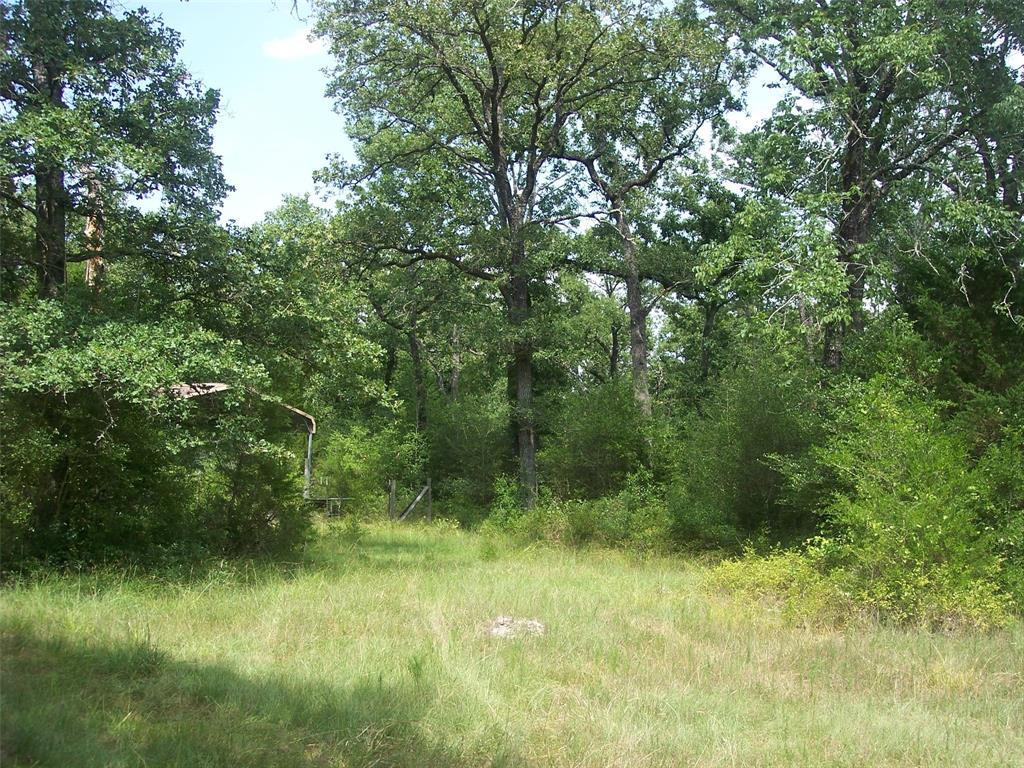 4398 Schoenau 15 Ac Tract Road - Photo 1