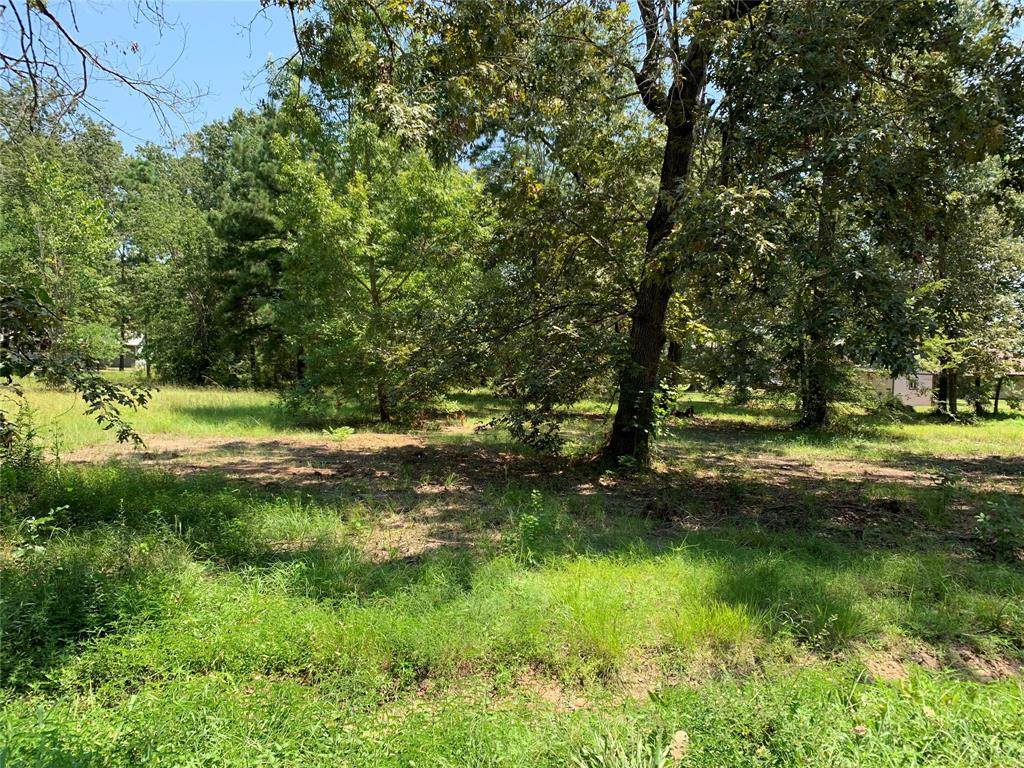 TBD Tall Timbers - Photo 1