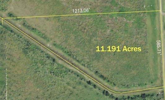 TBD Tract 1 Kiker Road - Photo 1