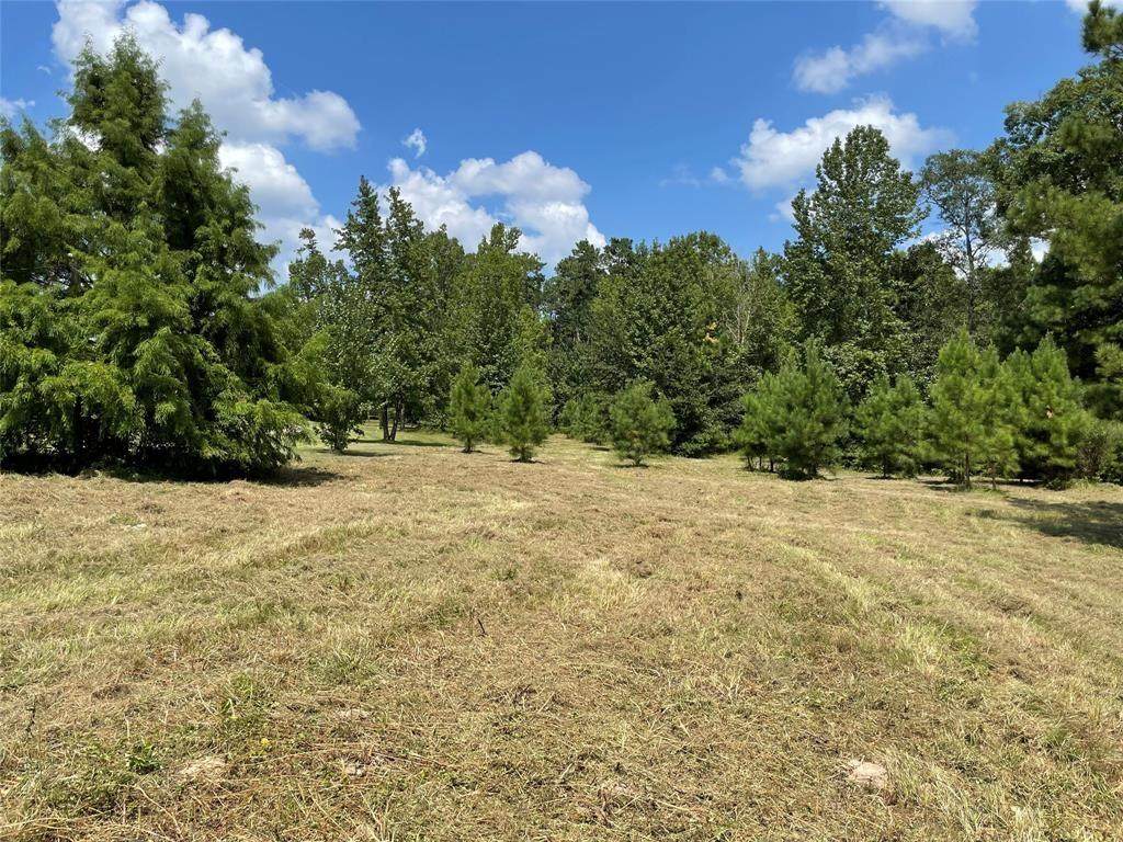 Lot 10 Hidden Springs Ranch Drive - Photo 1