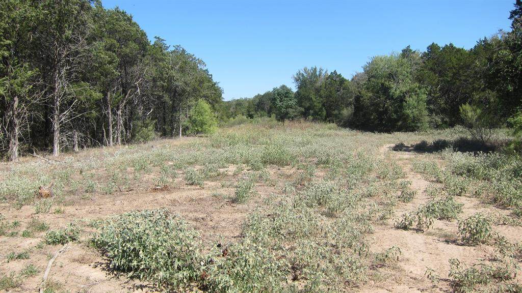 tbd Smith Road - Photo 1