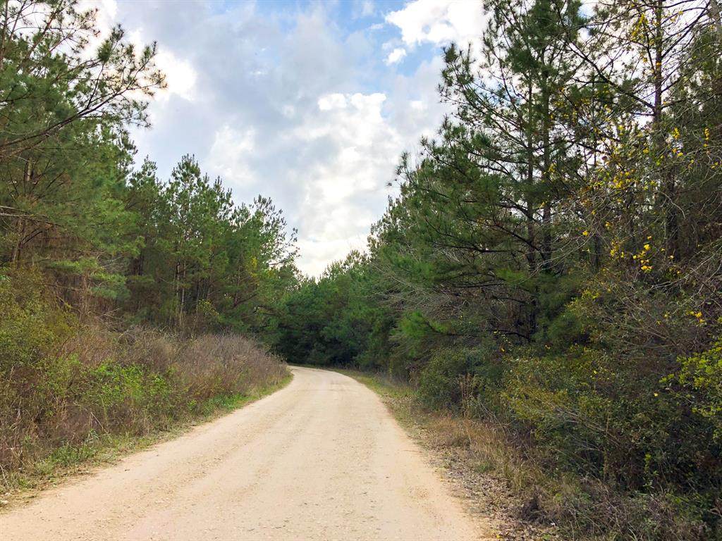000 Tom Marsh Rd - Photo 1
