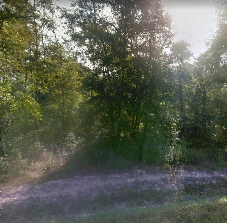 00 Pin Oak S - Photo 1