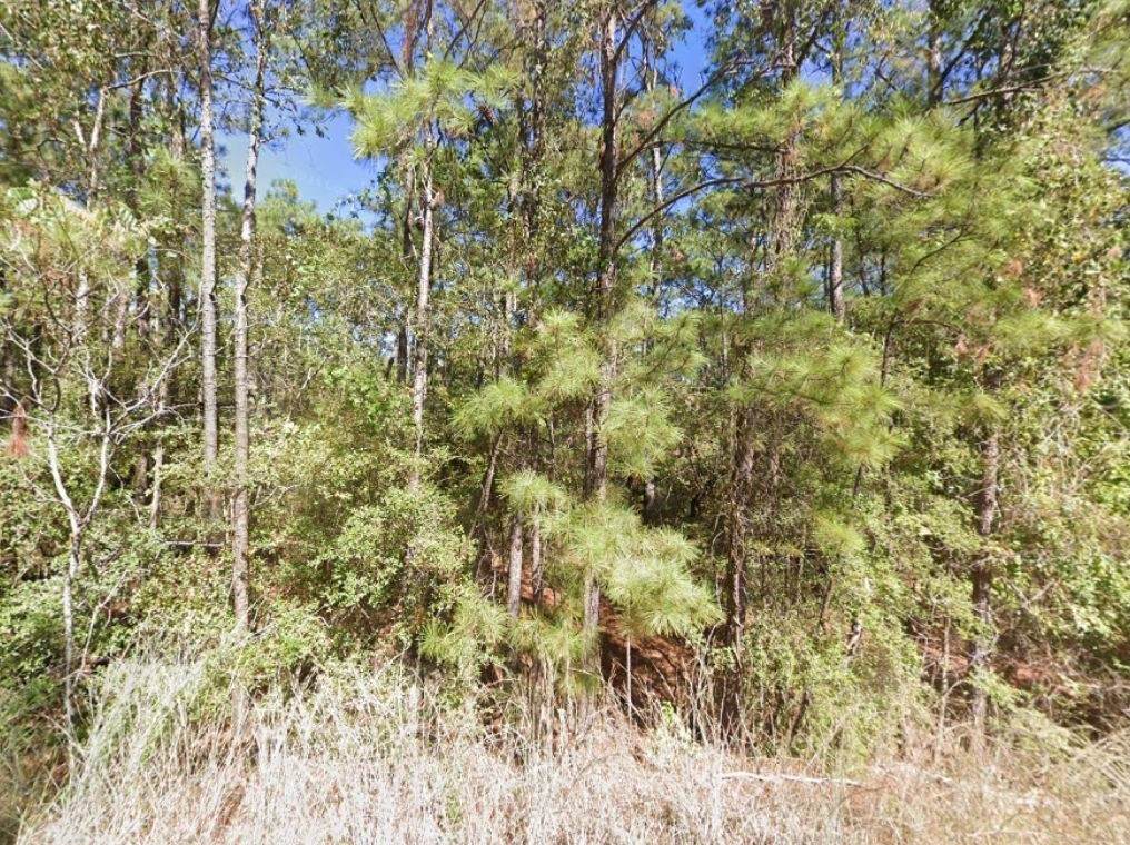 0 Creekside Harbor - Photo 1