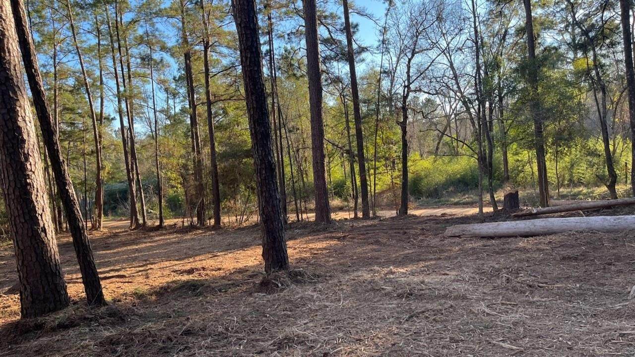 0 Monroe Drive - Photo 1