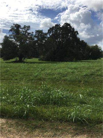 500 Six Gun Trail - Photo 1