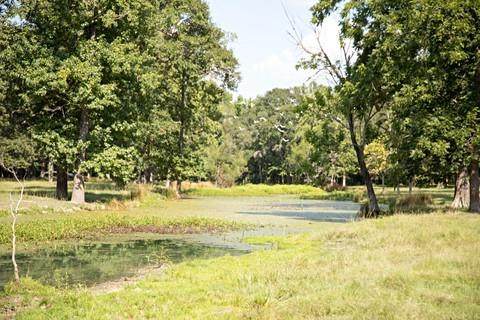 4132 Fm 1127 Road - Photo 1