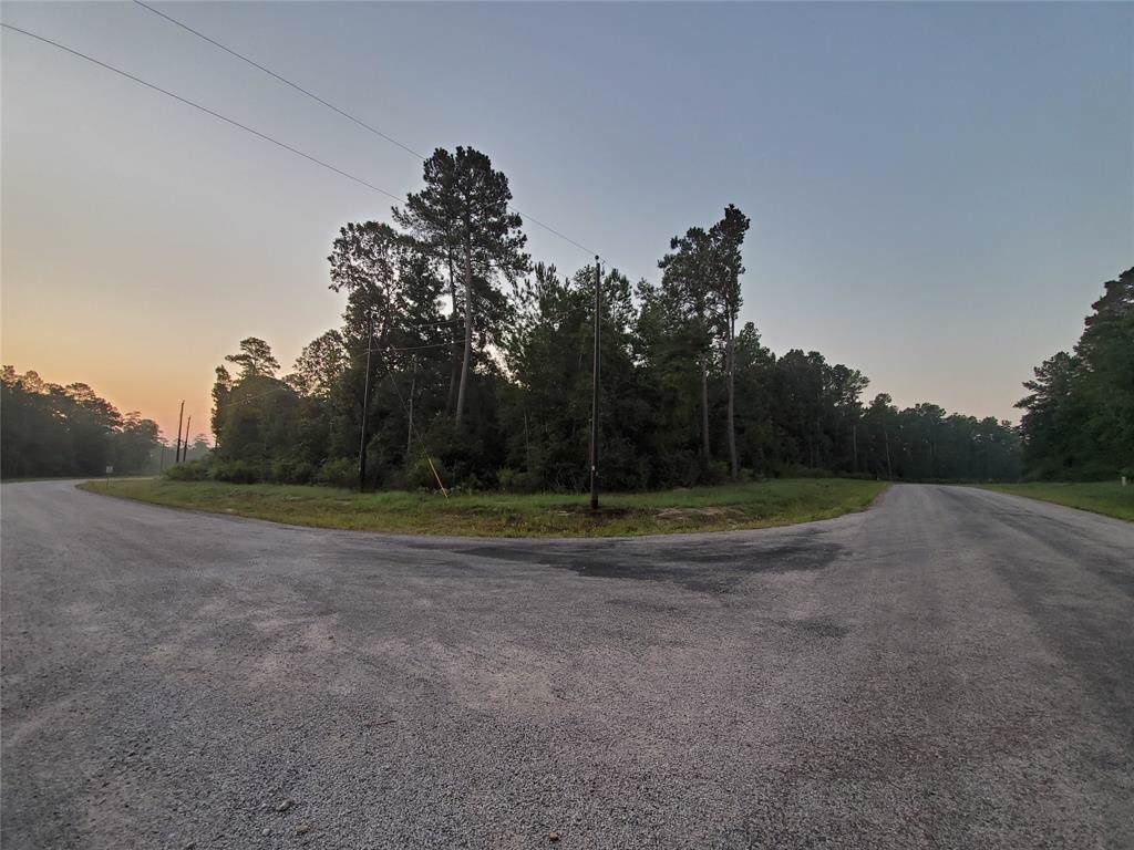 TBD Bluebonnet Road - Photo 1